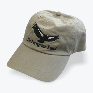 California Condor Logo Hats