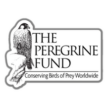 Load image into Gallery viewer, The Peregrine Fund Stickers