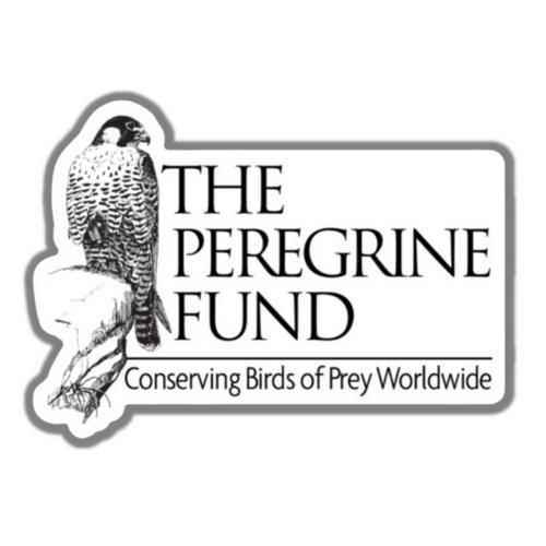 The Peregrine Fund Stickers