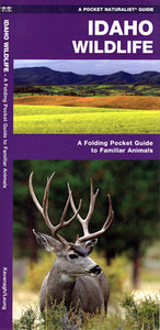 Idaho Wildlife - Pocket Guide