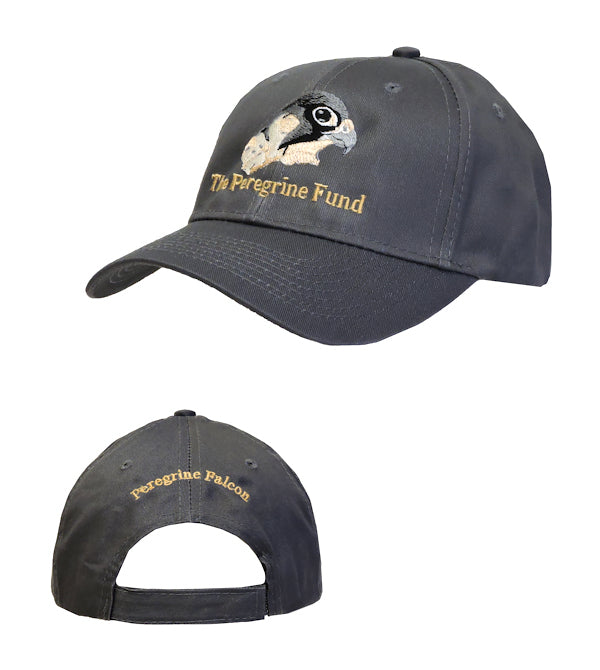 Peregrine Falcon logo low profile hats