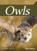 Load image into Gallery viewer, Owl Playing Cards